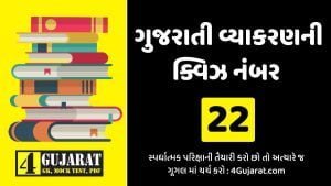 Gujarati Vyakaran Test : 22